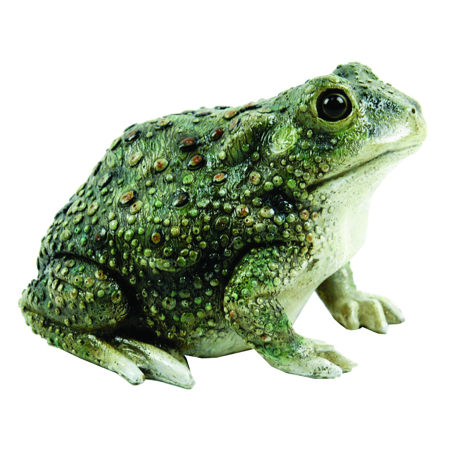 MCarr Texas Toad — priced per each; minimum 8; multiples of 8