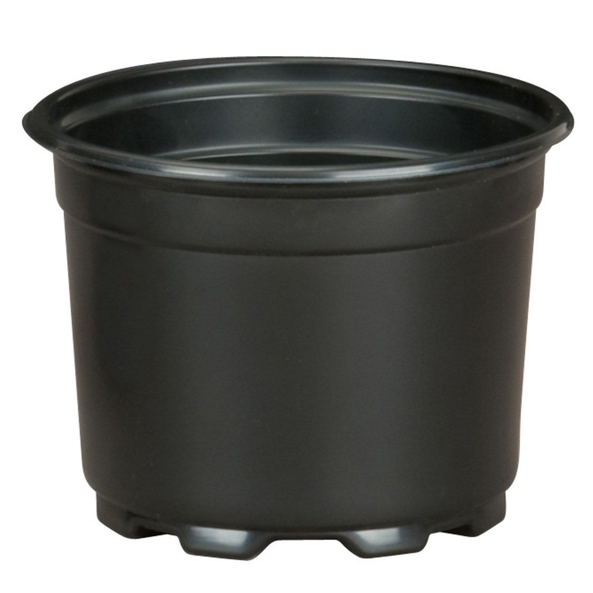 DLN 05.00 AZ SHORT COEX BLK/BLK — Case of 675