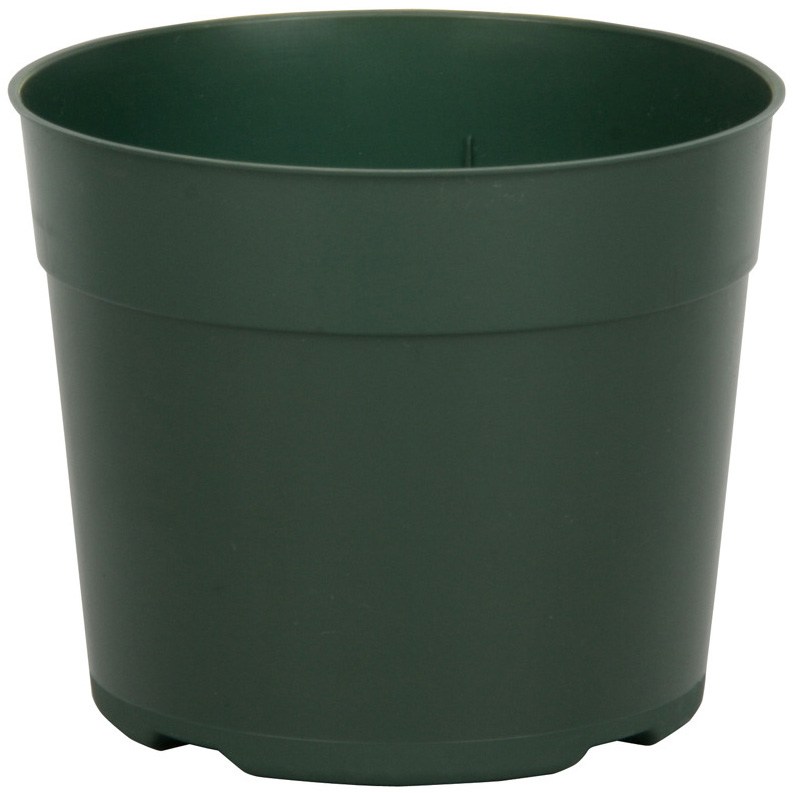 DLN 05.50 RND AZ TRAD T/W 300GN — Single Unit