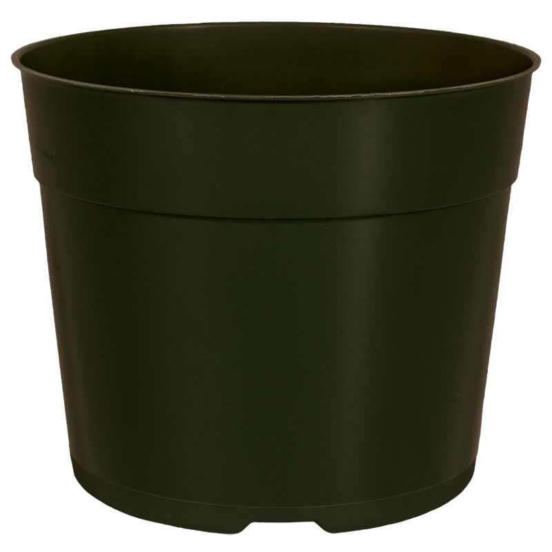 DLN 05.50 RND AZ TRAD T/W TX600 BLK — Case of 544