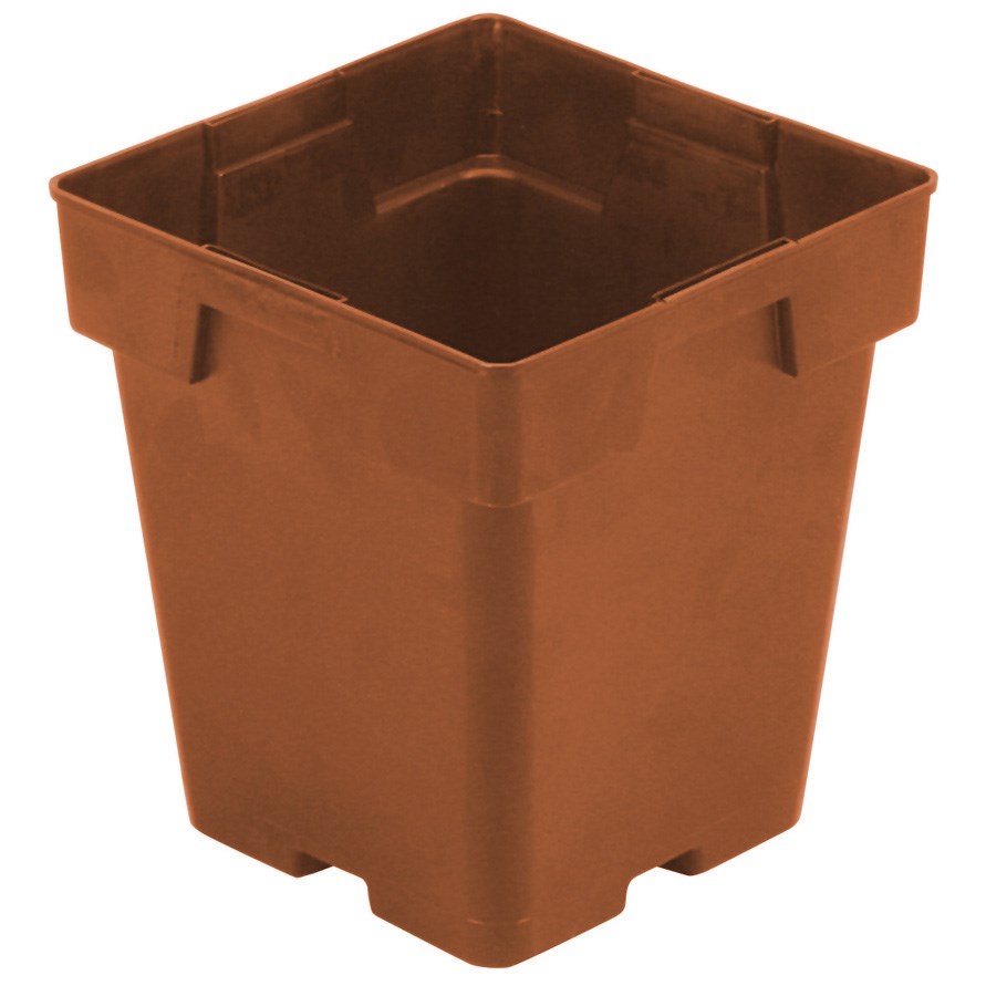 DLN 05.50 SQ JUMBO T/W TL TC — Single Unit