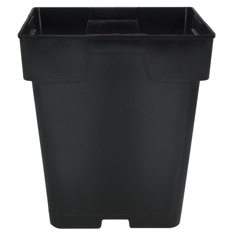 DLN 05.50 SQ JUMBO T/W TL BLK — Case of 288