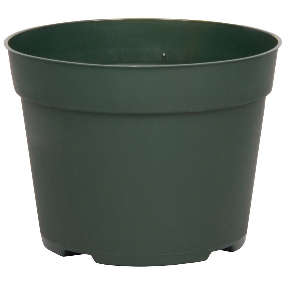 DLN 06.50 RND AZ TRAD T/W 300GN — Single Unit