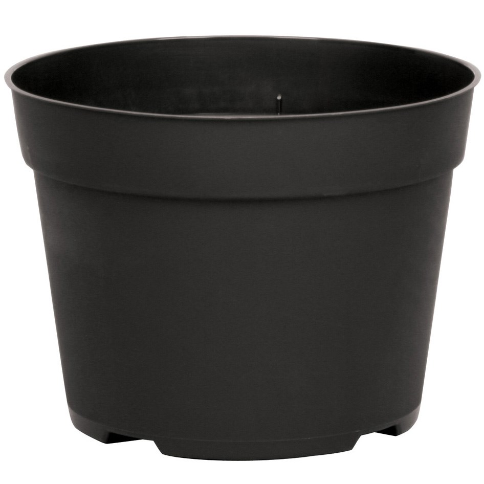 DLN 06.50 RND AZ TRAD T/W BLK — Case of 240
