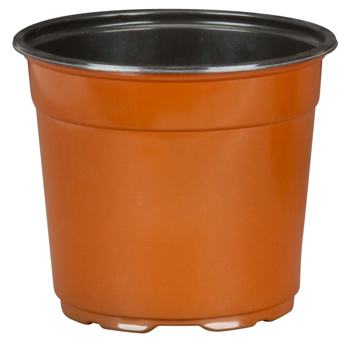 DLN 17.00 CM EURO POT COEX TALL TC — Case of 294