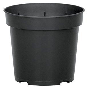 DLN 04.50 RND GER T/W BLK — Case of 850