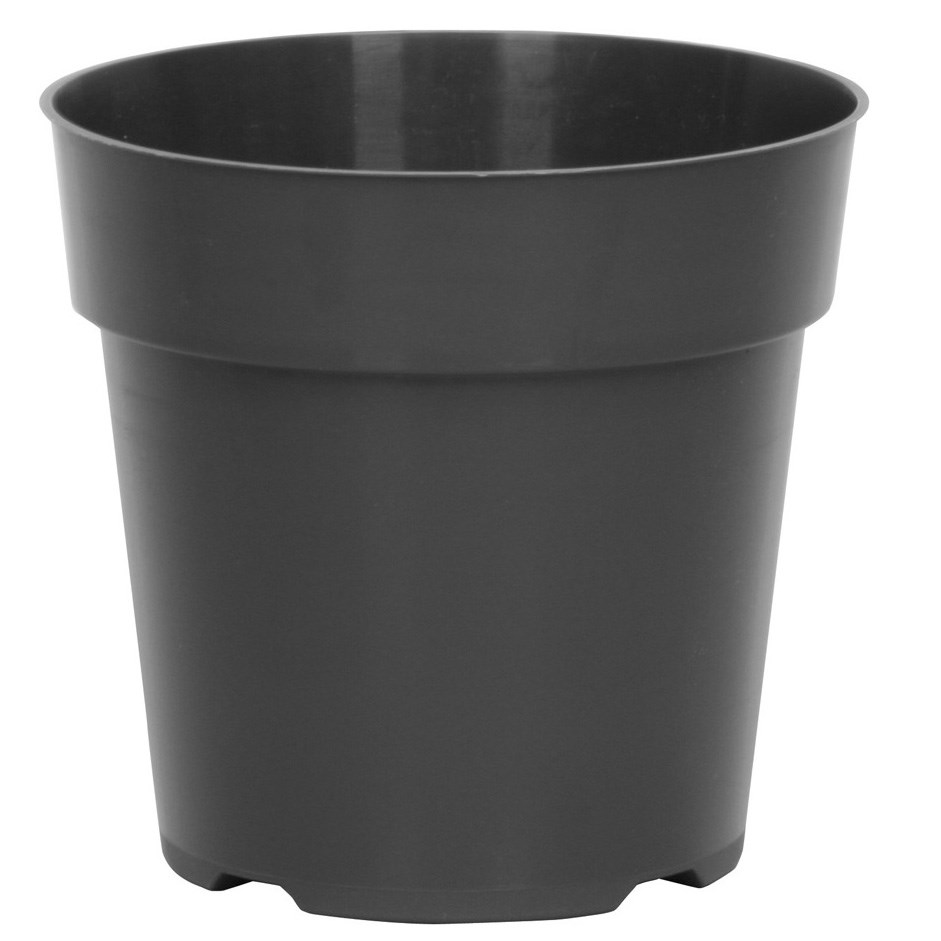 DLN 06.00 RND STD T/W BLK (MIN ORDER QTY 109 CASE TO PRODUCE) — Case of 440