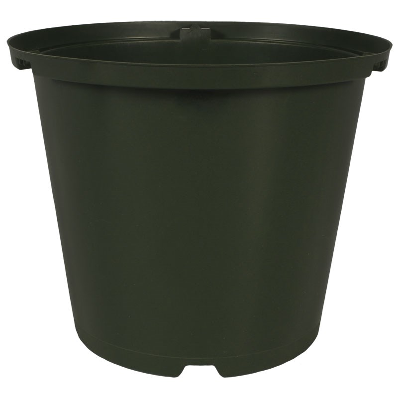 DLN 08.00 RND STD STOCK POT T/W 300GN — Case of 100