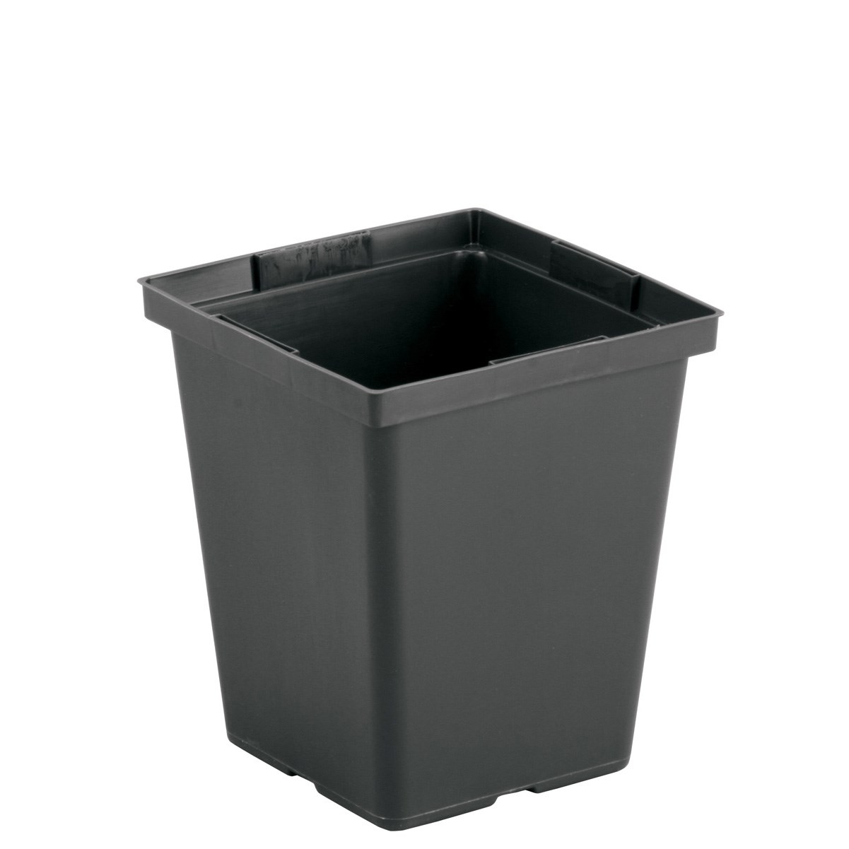 DLN 04.50 SQ DEEP PEREN T/W TL BLK — Case of 441