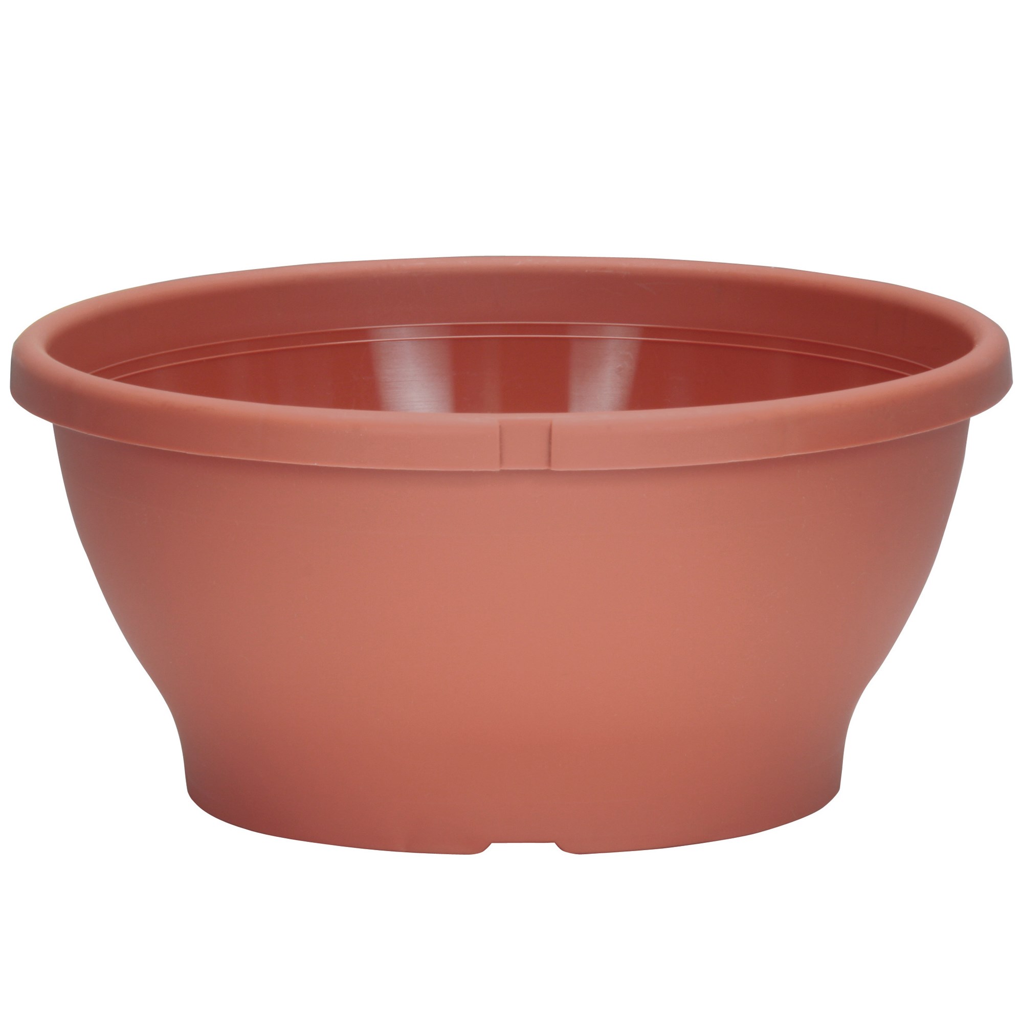 DLN 10.00 COLOR BOWL CL — Case of 82
