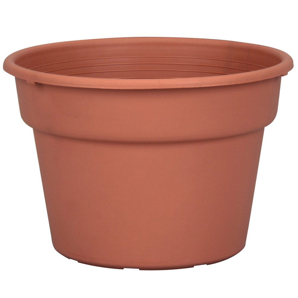 DLN 08.00 COLOR POT TL CL — Single Unit