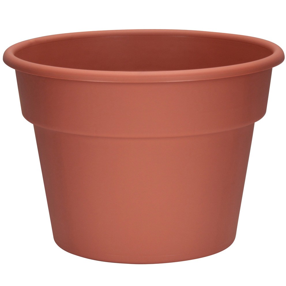 DLN 12.00 COLOR POT 1 CL — Case of 28