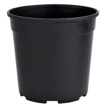 DLN 01.00QT PEREN POT T/W TL BLK — Case of 475