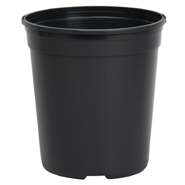 DLN TRADE 01.00GL TL T1G 2 BLK — Single Unit