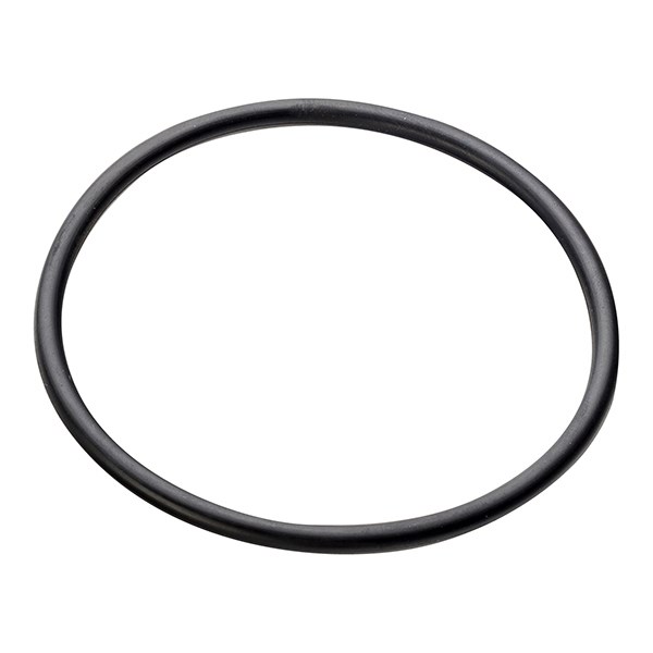 NET O-RING FOR 3/4IN ARKAL FILTER 25AP530140