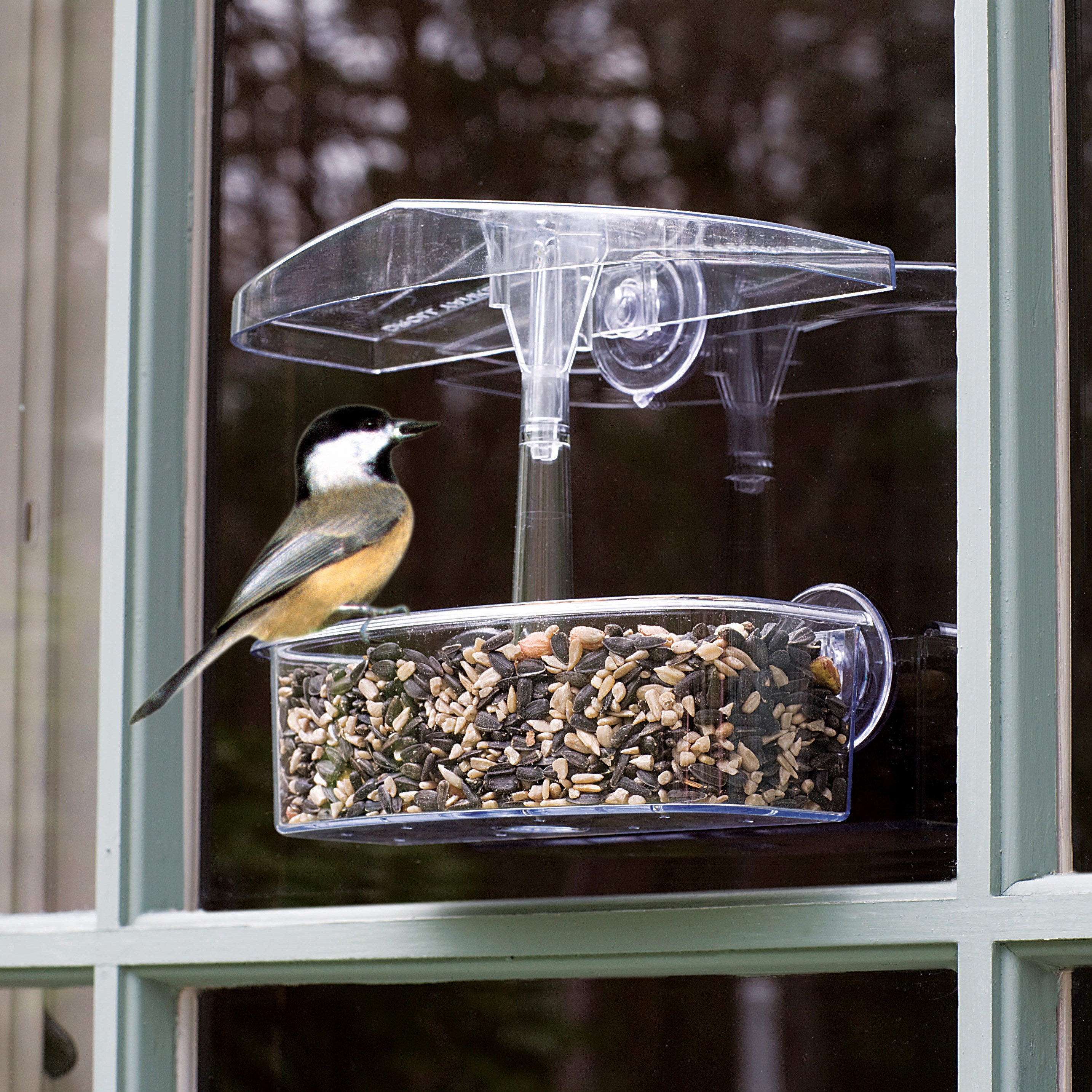 Droll Yankee 7"x3"x2" Observer Window Feeder — priced per each; minimum 6; multiples of 6