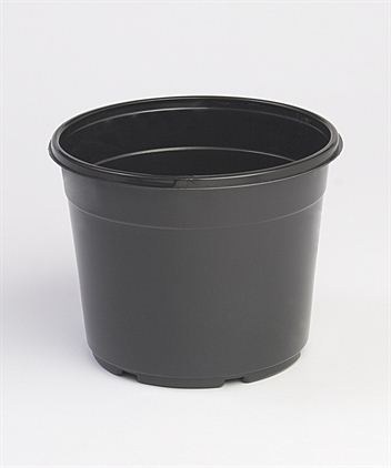 Landmark 06.50 Round Azalea Maxi Grow Coex Black X-65Amgt — Case of 240