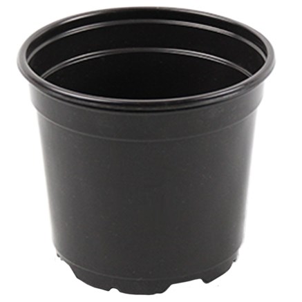 Grower Select 04.33W Coex Standard Round Pot Black — Case of 1800