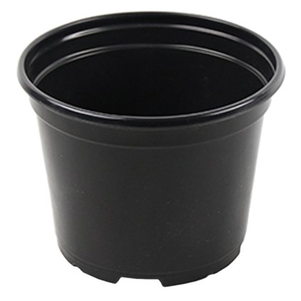 Grower Select 06.00 Coex Azalea Round Pot Black — Case of 660