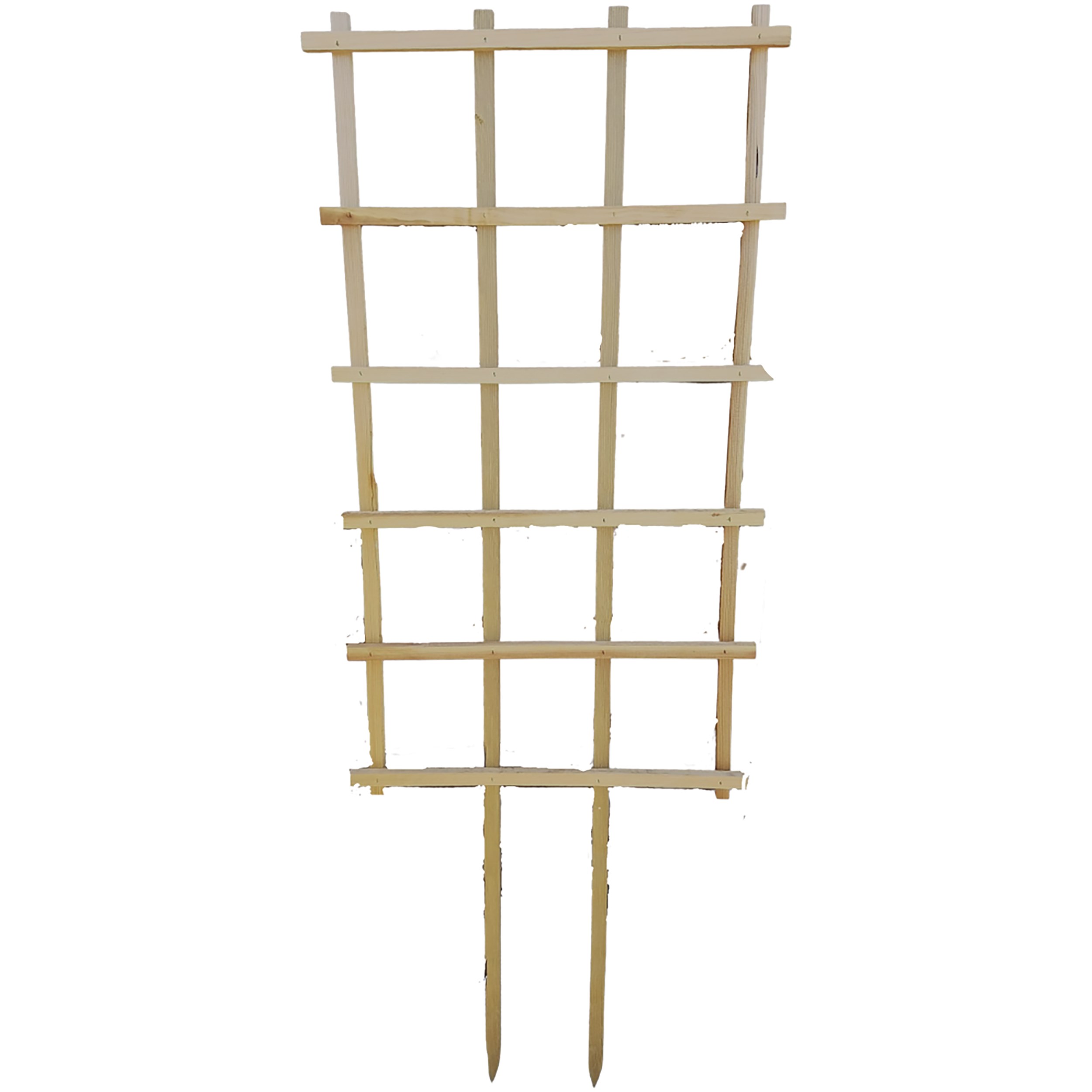 A&G 22"x40" Espalier — priced per each; minimum 6; multiples of 6