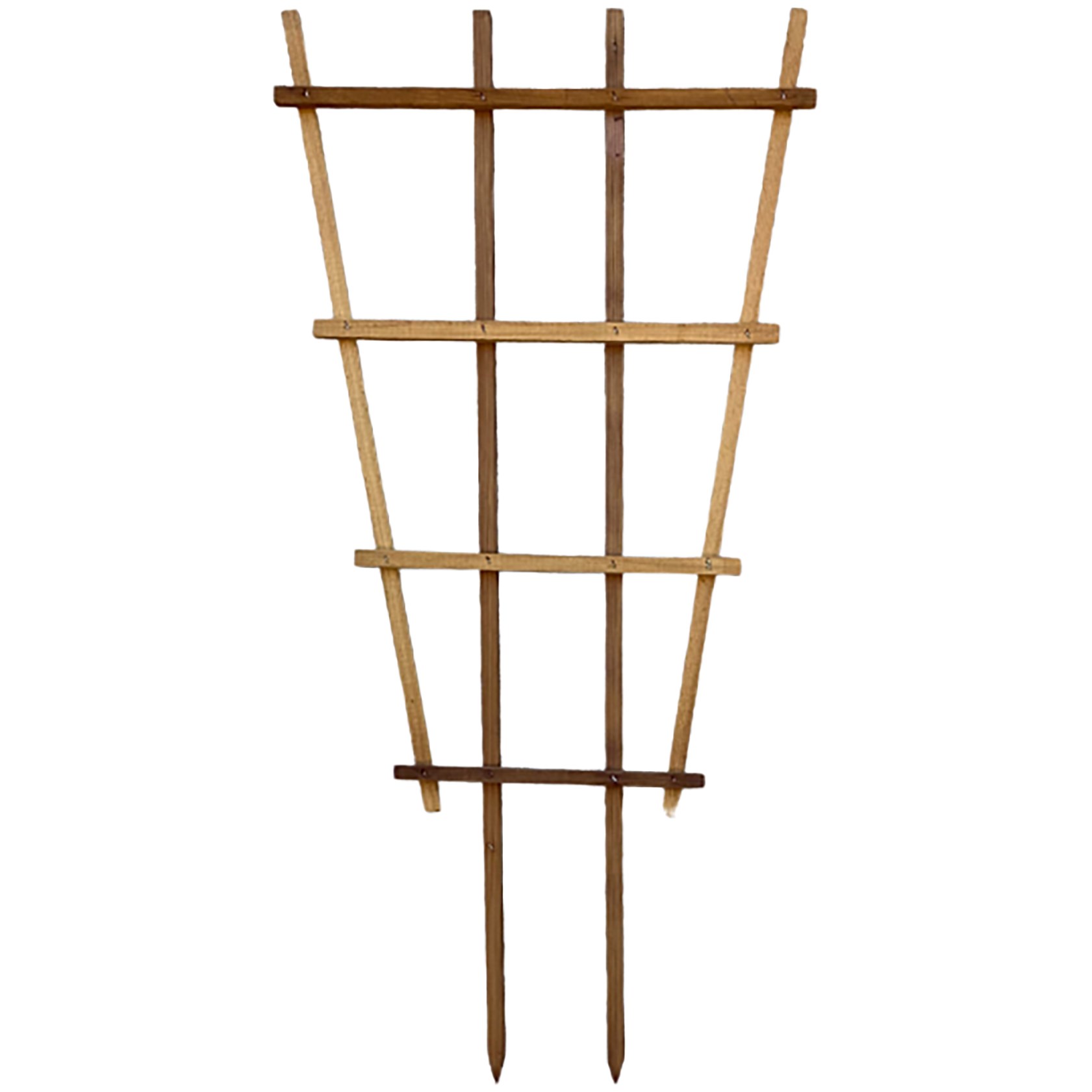 A&G 2'x4' Fan Espalier Trellis — priced per each; minimum 6; multiples of 6