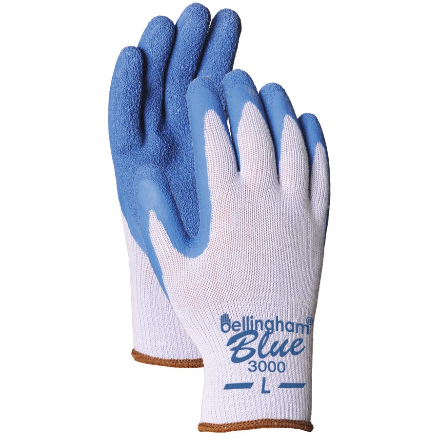 BGC Premium Latex Glove Large Blue — priced per each; minimum 12; multiples of 12