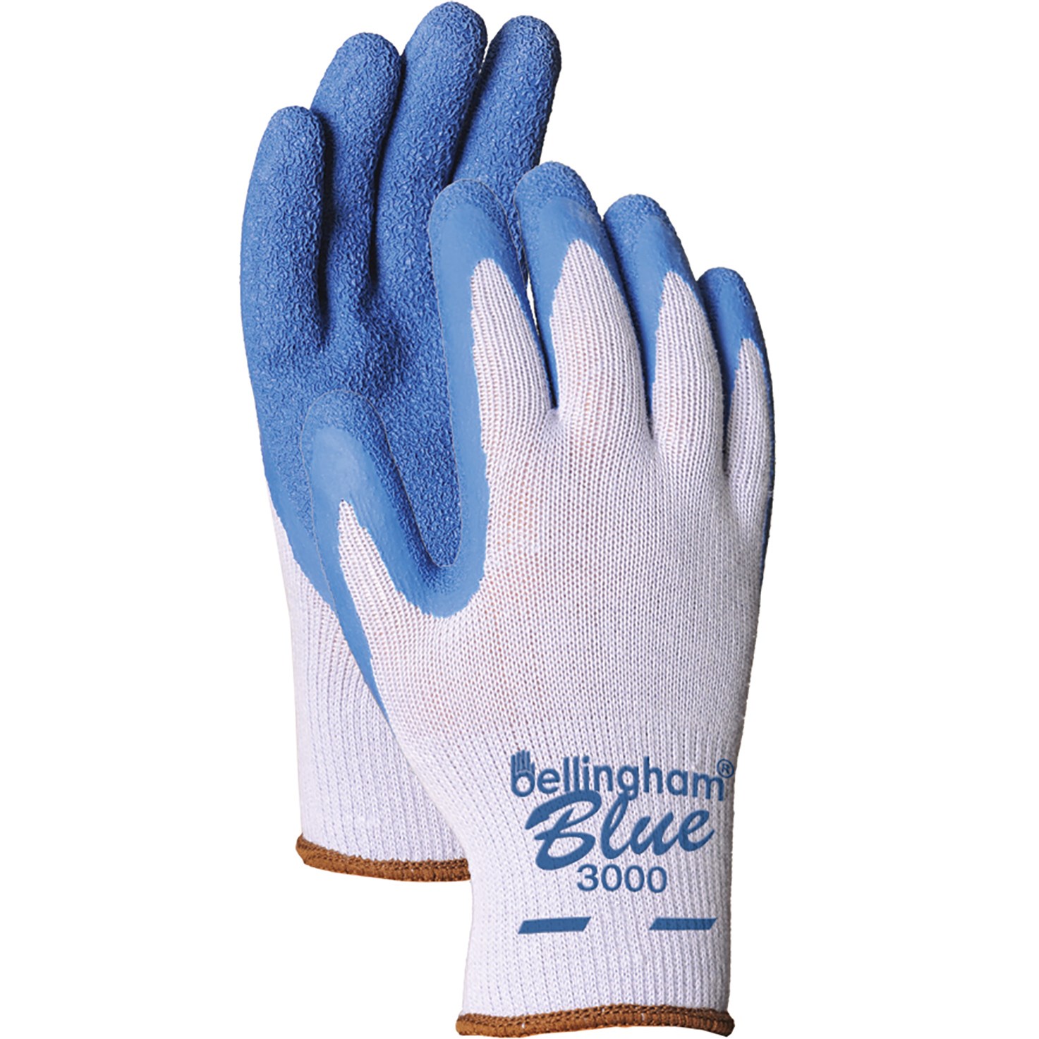 BGC Premium Latex Glove XL Blue