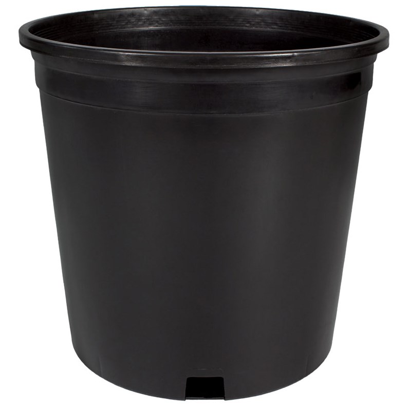 HC #2 2 Gallon Nursery Container Black 50 per Bundle — priced per each; minimum 50; multiples of 50