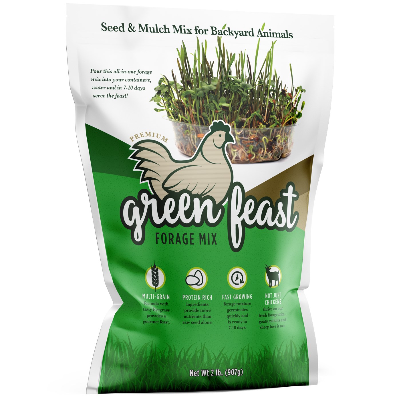 Amturf 2# Green Feast Chicken Forage Seed Mix