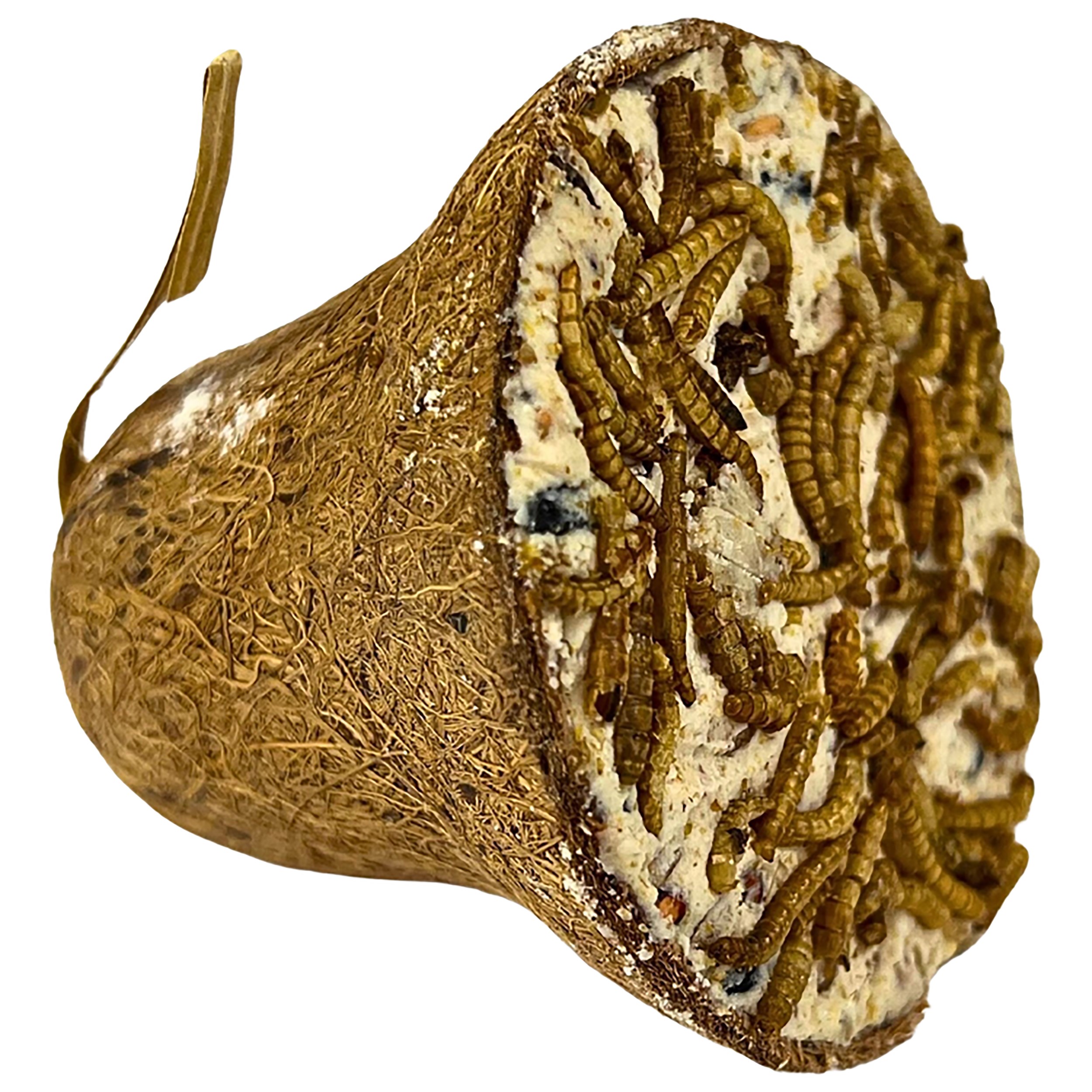 A&E Cage Garden & Fun Suet Bell with Mealworms & Coconut Fiber Brown & White — priced per each; minimum 10; multiples of 10