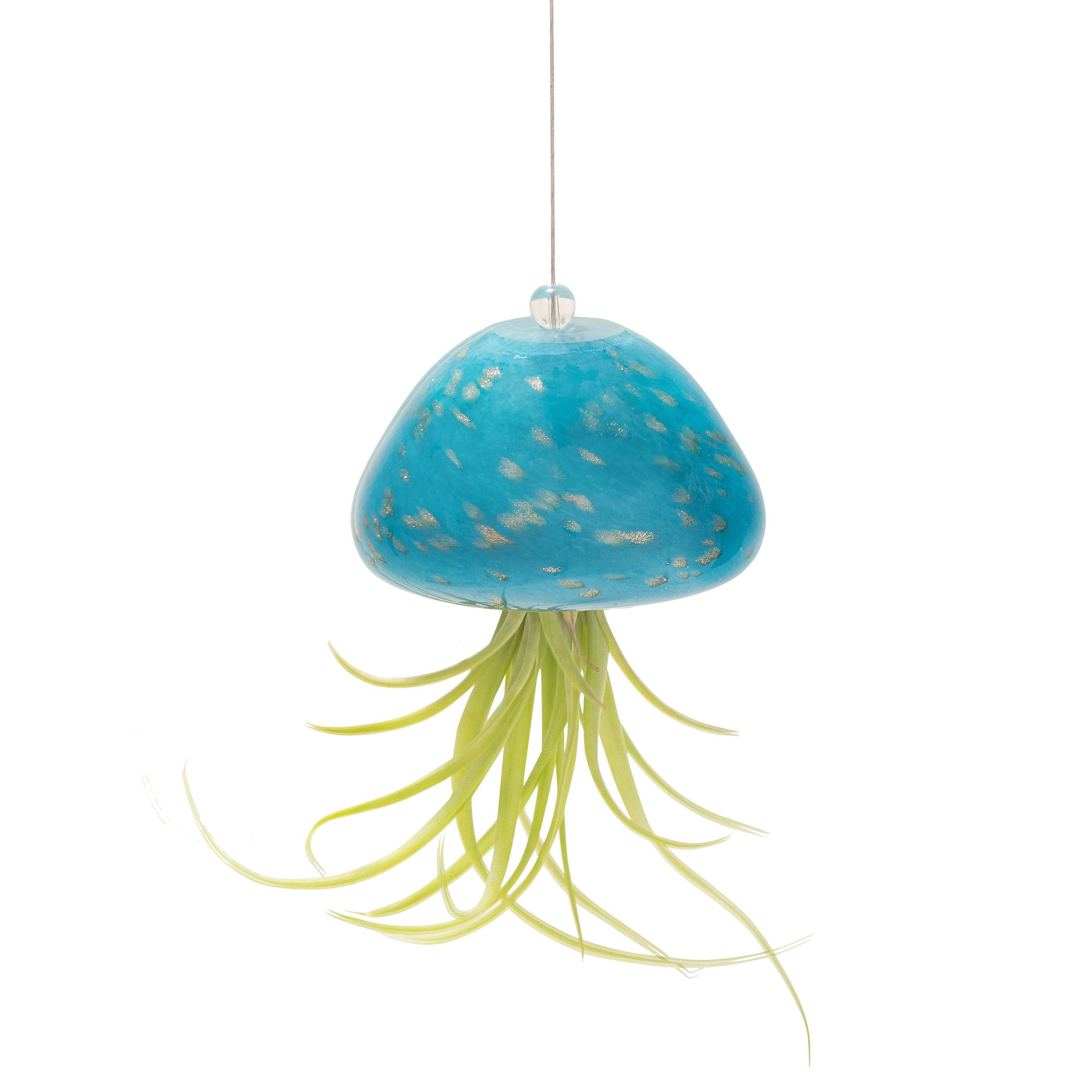 APM Air Plant Jellyfish Teal/Gold — priced per each; minimum 18; multiples of 18