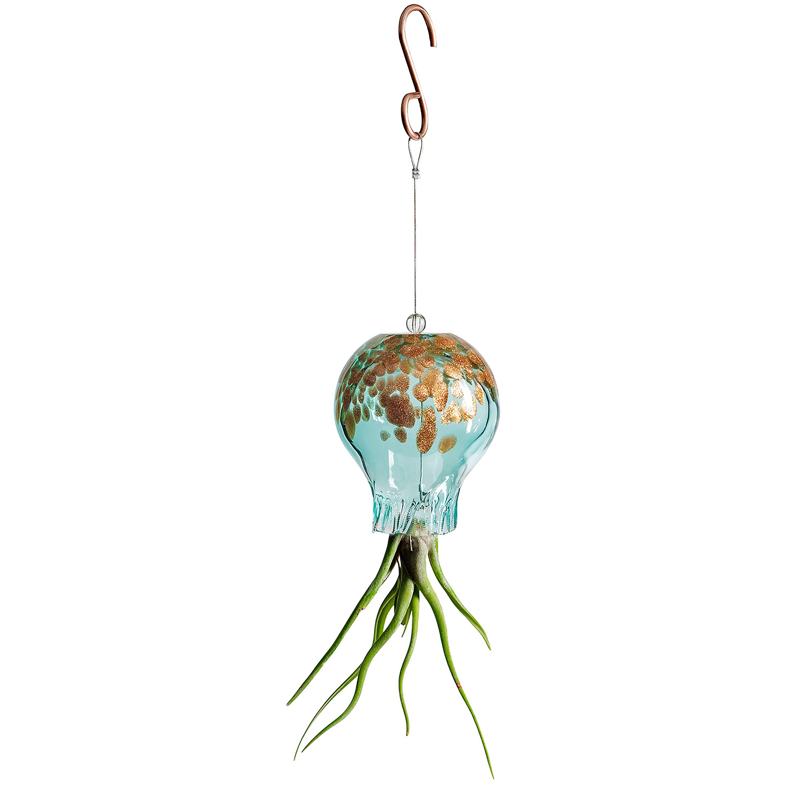 APM Air Plant Octopus Lake Green — priced per each; minimum 18; multiples of 18