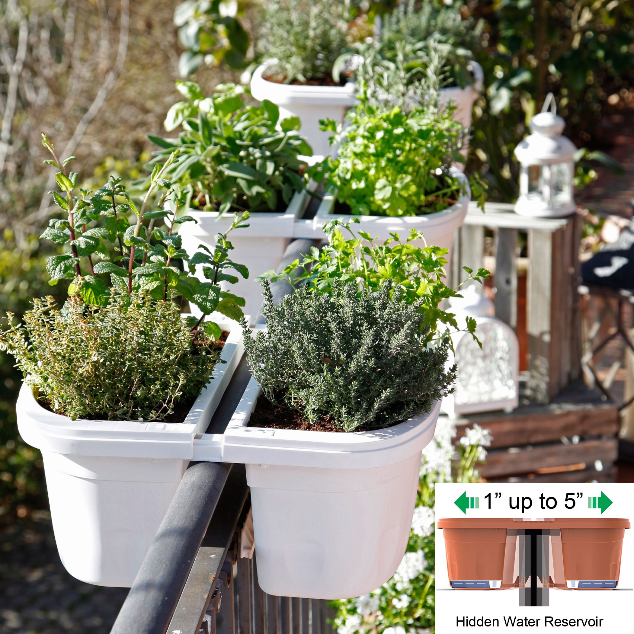 Apollo 16" Double Sided Adjustable Railing Planter White — priced per each; minimum 21; multiples of 21