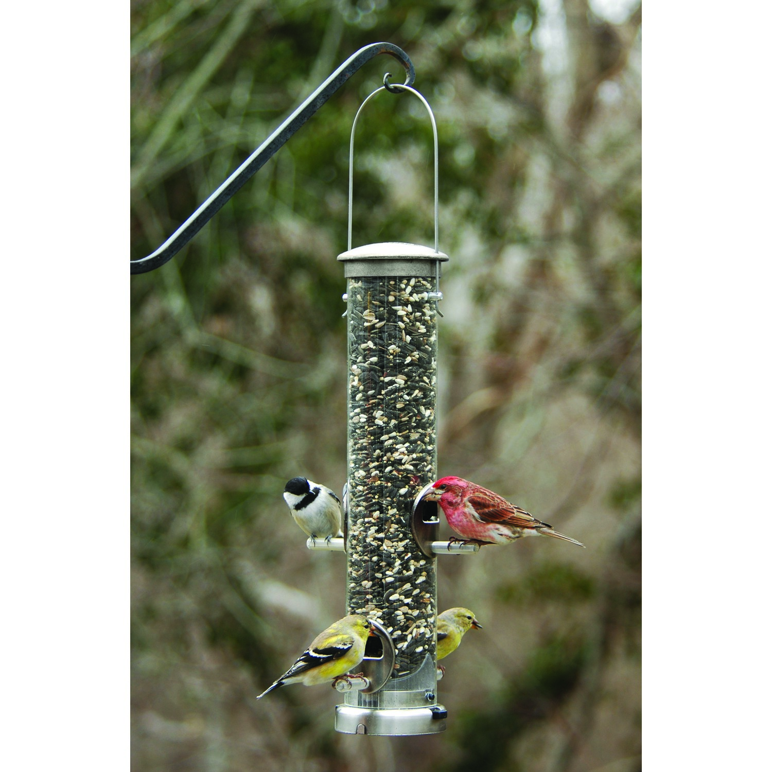 Aspects Medium Brushed Nickel Seed Tube Feeder Quick Clean
