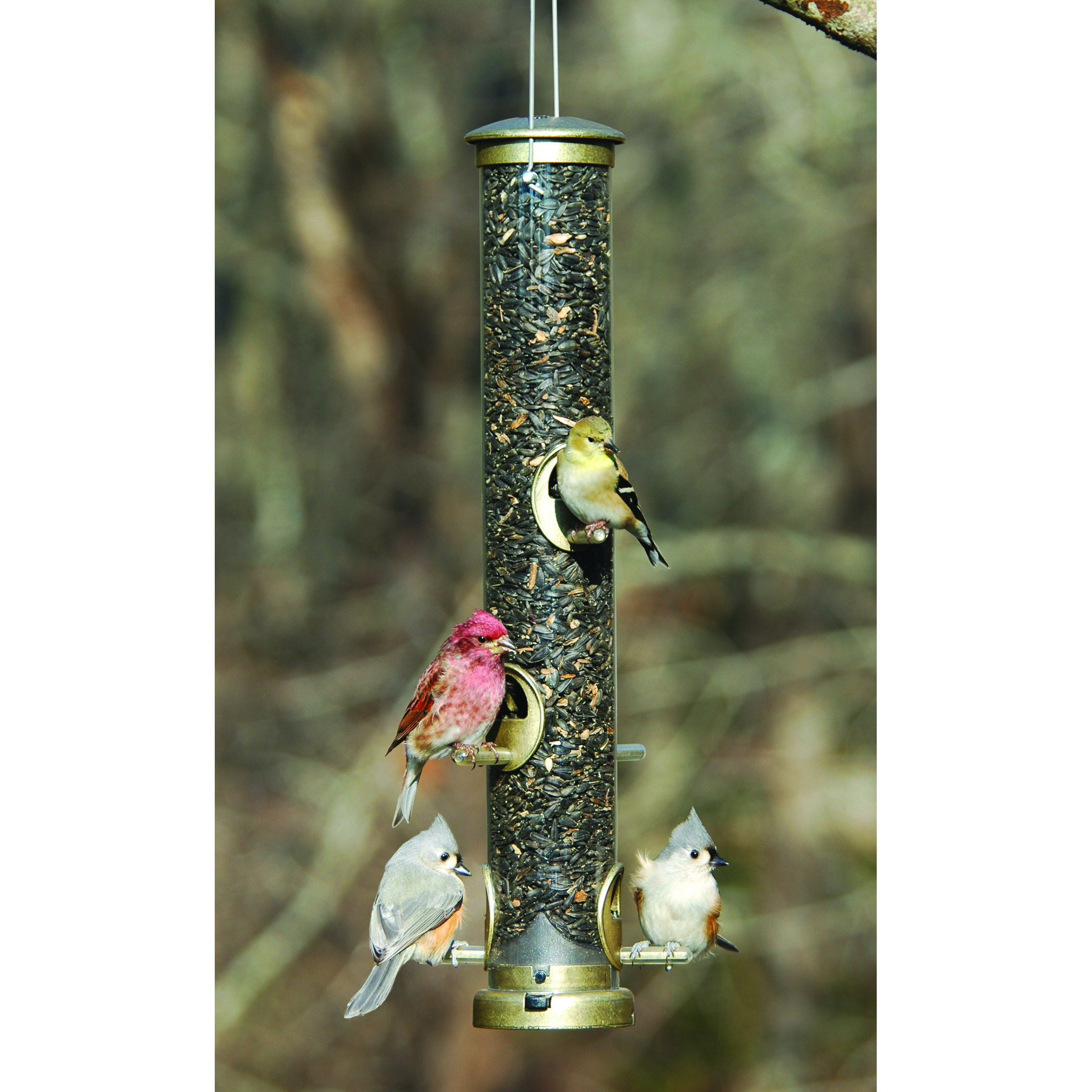 Aspects Large Antique Brass Seed Tube Feeder Quick Clean