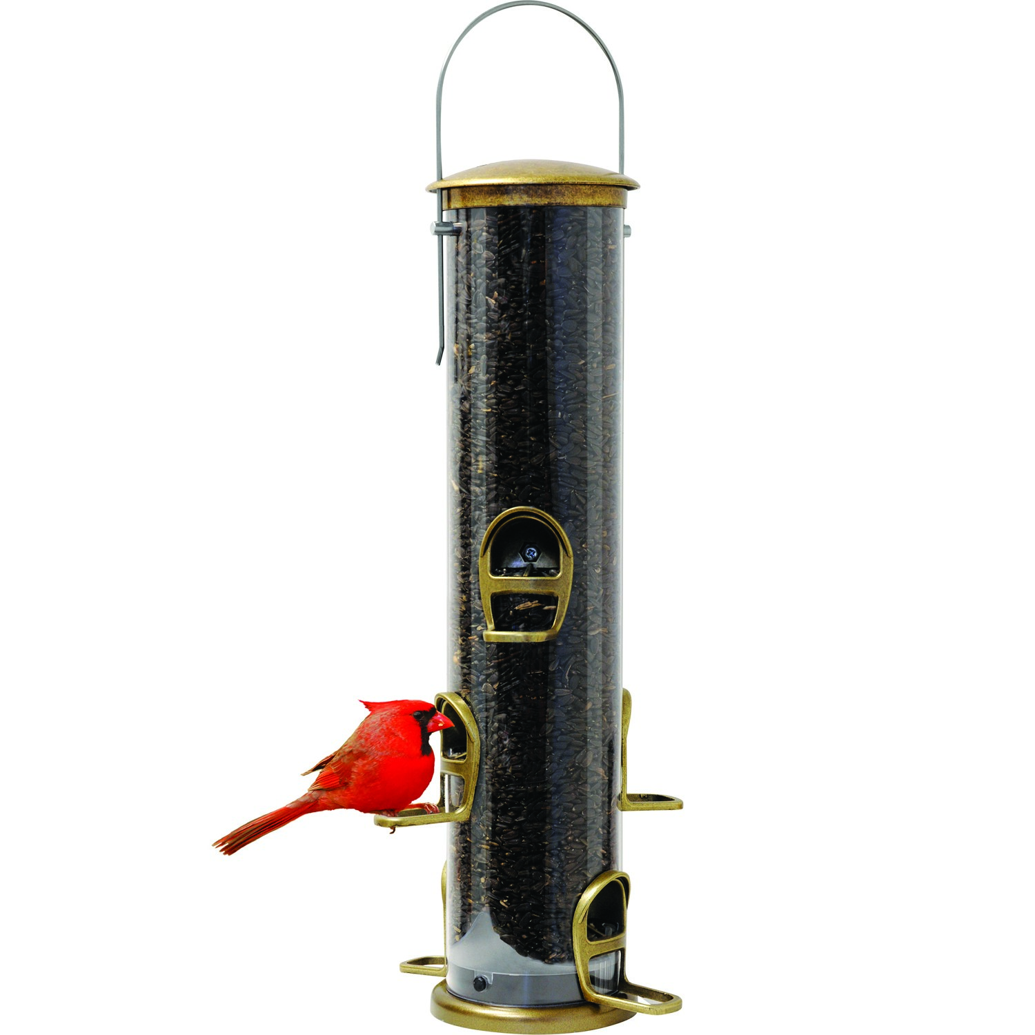 Aspects Antique Brass Quick Clean Big Tube Feeder