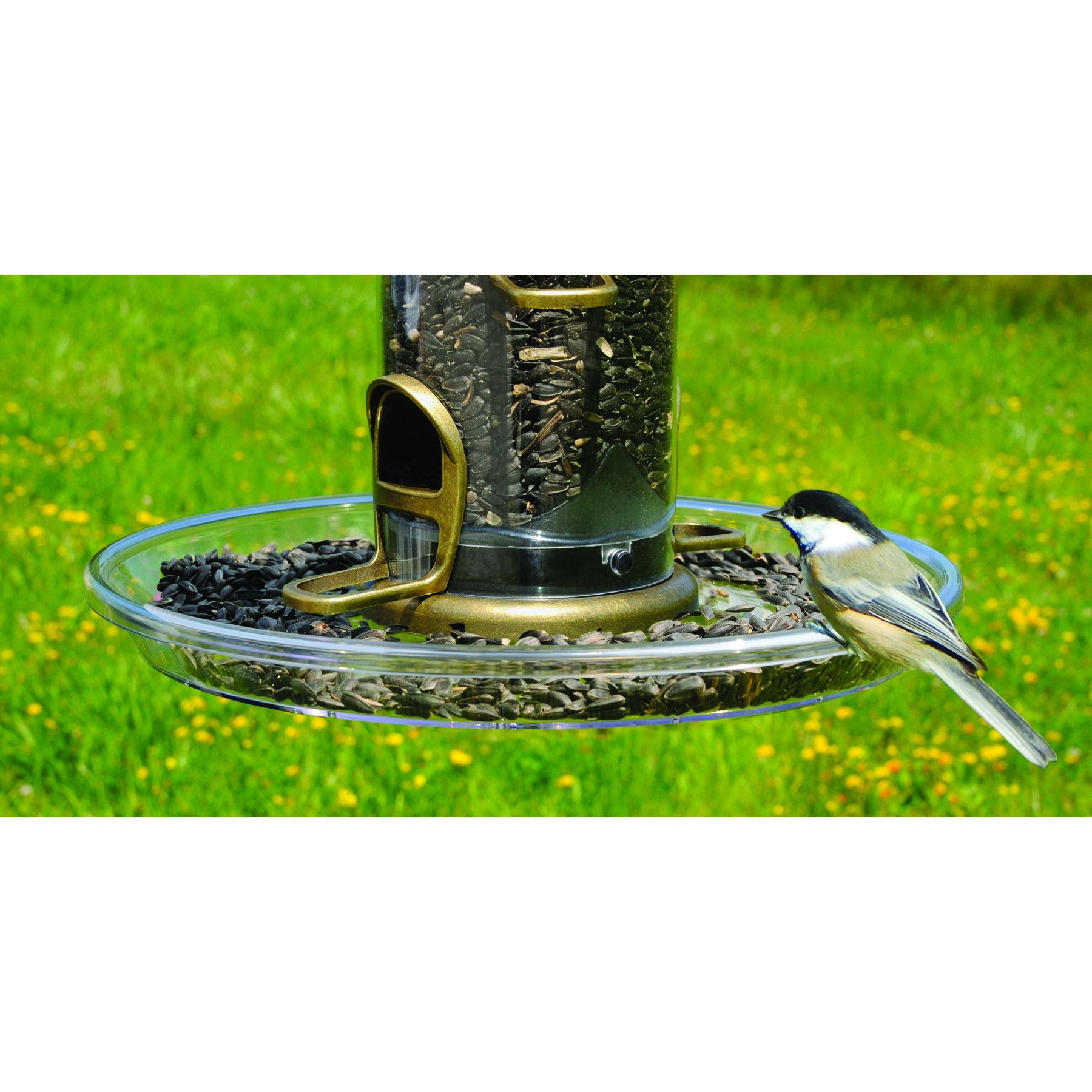 Aspects Quick Clean Bigfoot Seed Tray — priced per each; minimum 6; multiples of 6