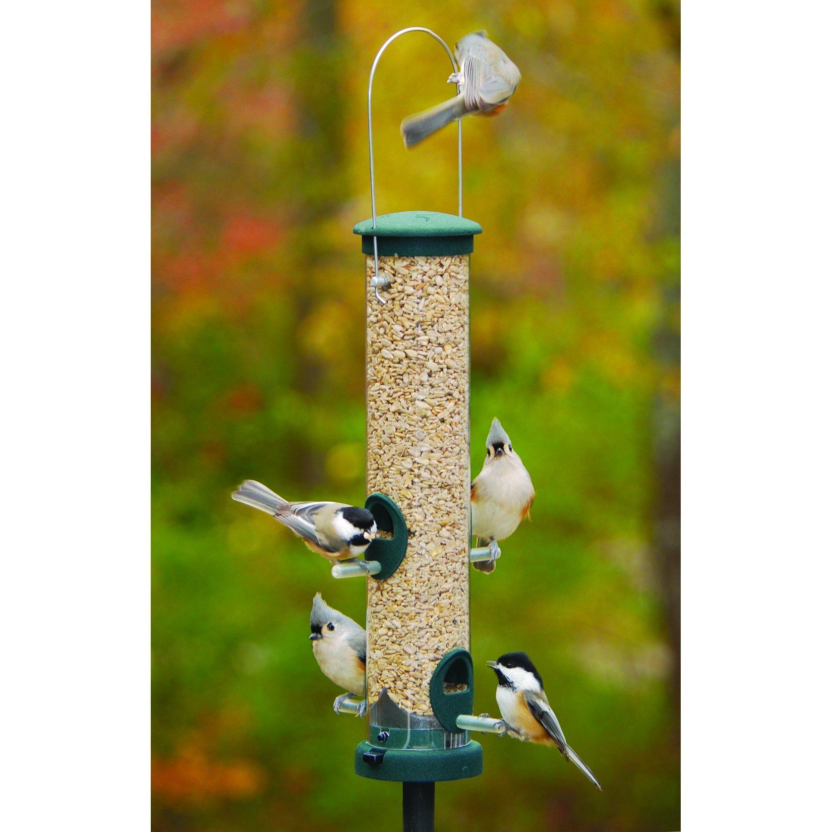 Aspects Medium Spruce Quick Clean Tube Seed Feeder