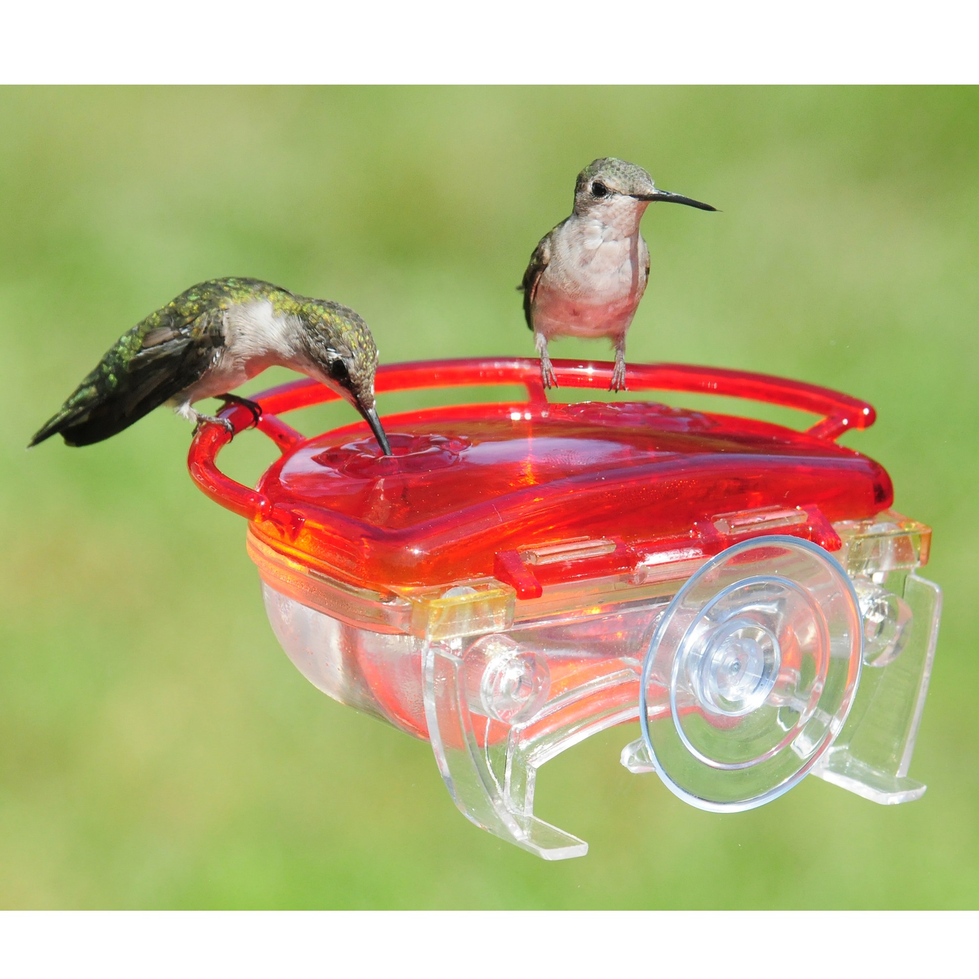 Aspects The Gem Window Hummingbird Feeder