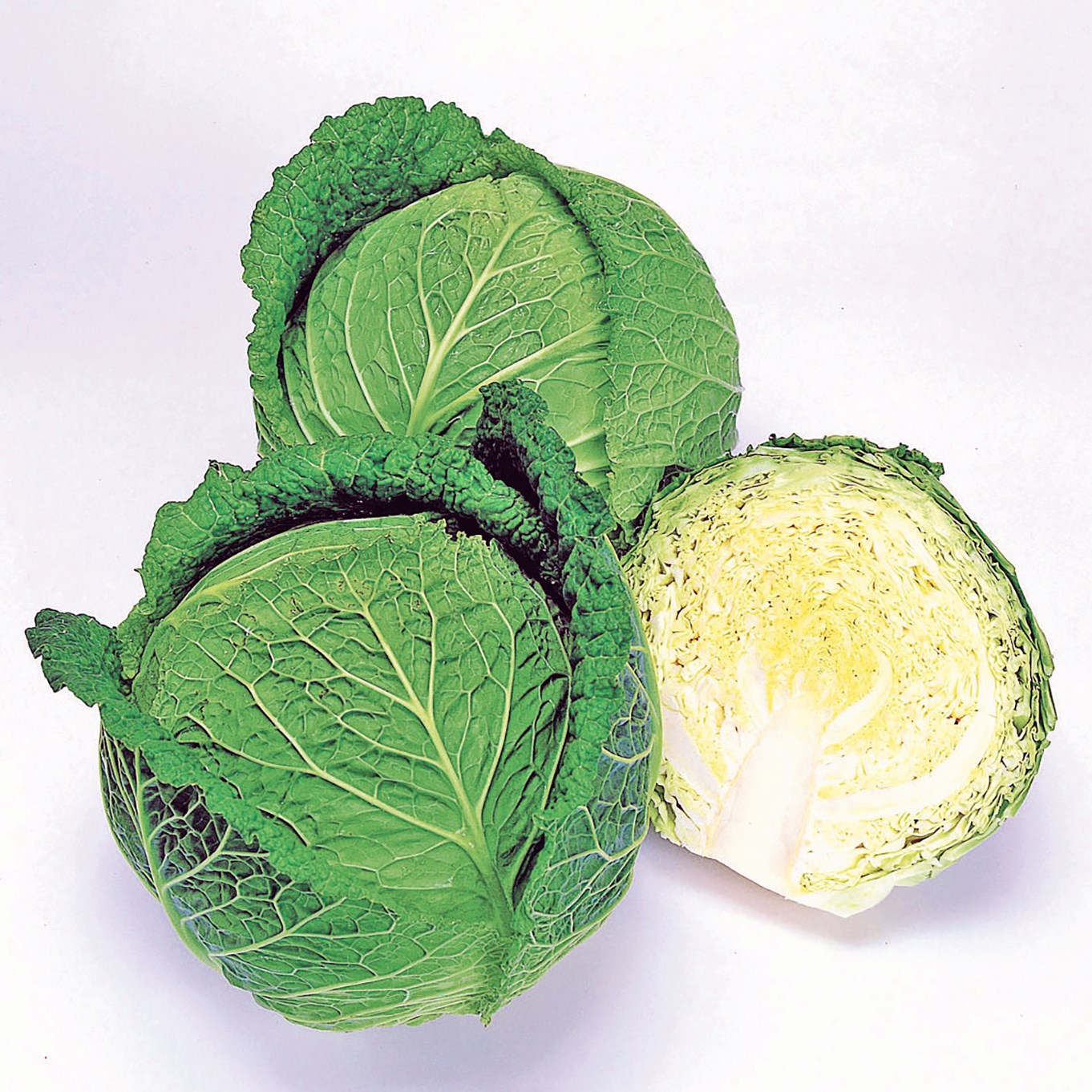 Cabbage, Savoy Ace Improved 5000 Seed Count