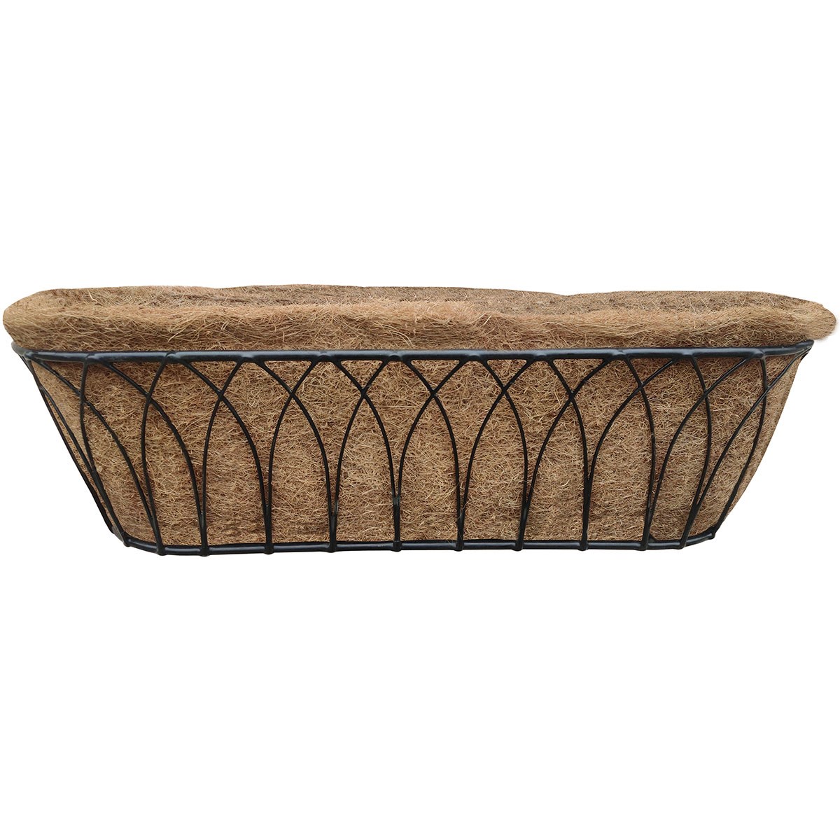 Austram 30" Lotus Trough Planter Black