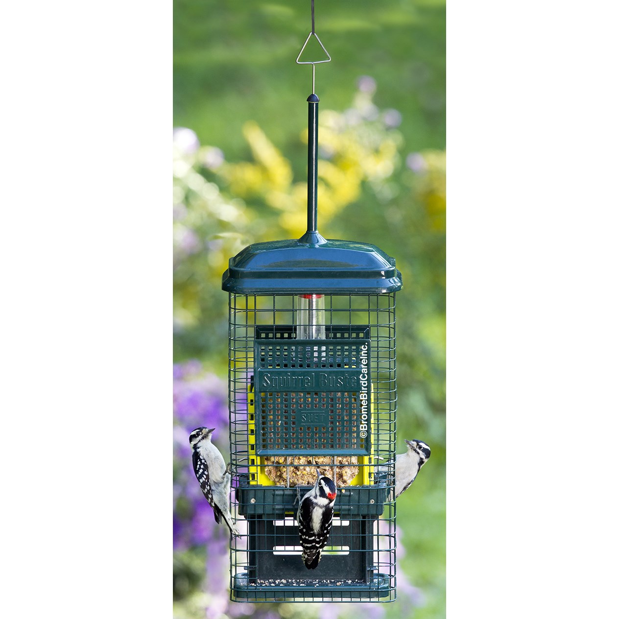 Brome Bird Care 8.625"x4.5"x18.625" SquirrelBuster Suet Feeder — priced per each; minimum 2; multiples of 2