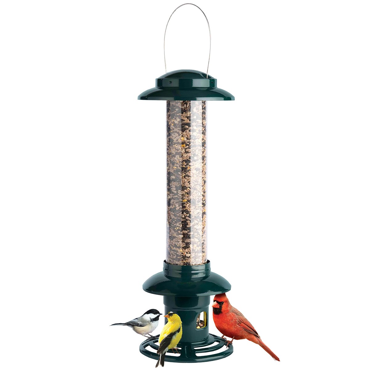 Brome Bird Care 6.5"x19" Squirrel Buster Evolution — priced per each; minimum 4; multiples of 4