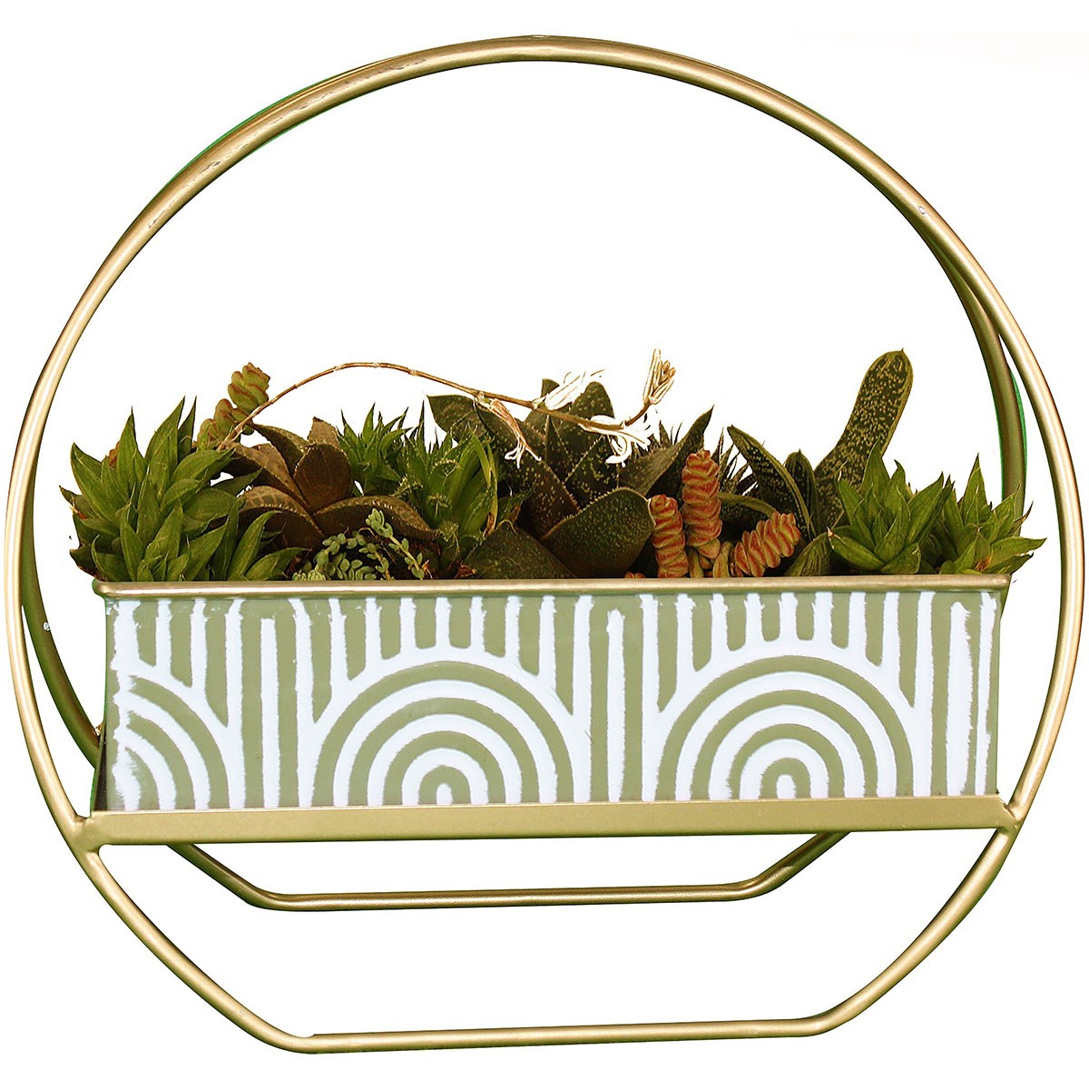 Braun Sunny Retro Planter Green — priced per each; minimum 2; multiples of 2