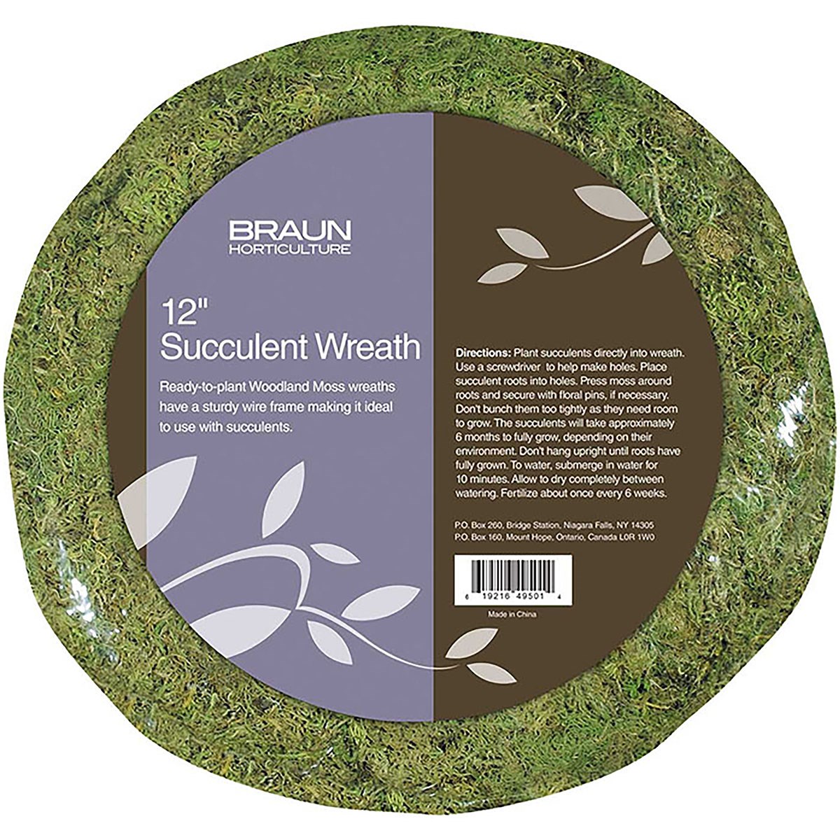 Braun 12" Retail Ready Succulent Wreath — priced per each; minimum 10; multiples of 10