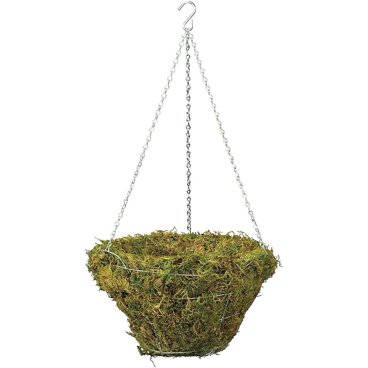 Braun 20" Woodland Moss Hanging Basket w/ Green Chain Hanger — priced per each; minimum 10; multiples of 10
