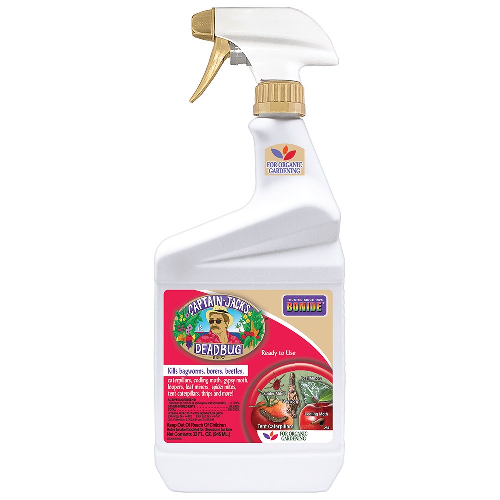 Captain Jacks Qt Dead Bug Brew RTU — priced per each; minimum 6; multiples of 6