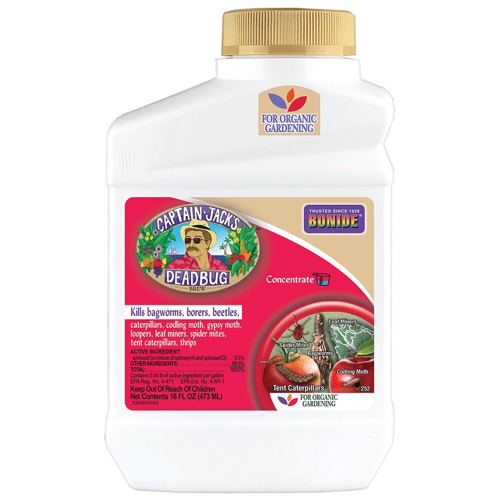 Captain Jacks Pt Dead Bug Brew Concentrate — priced per each; minimum 6; multiples of 6
