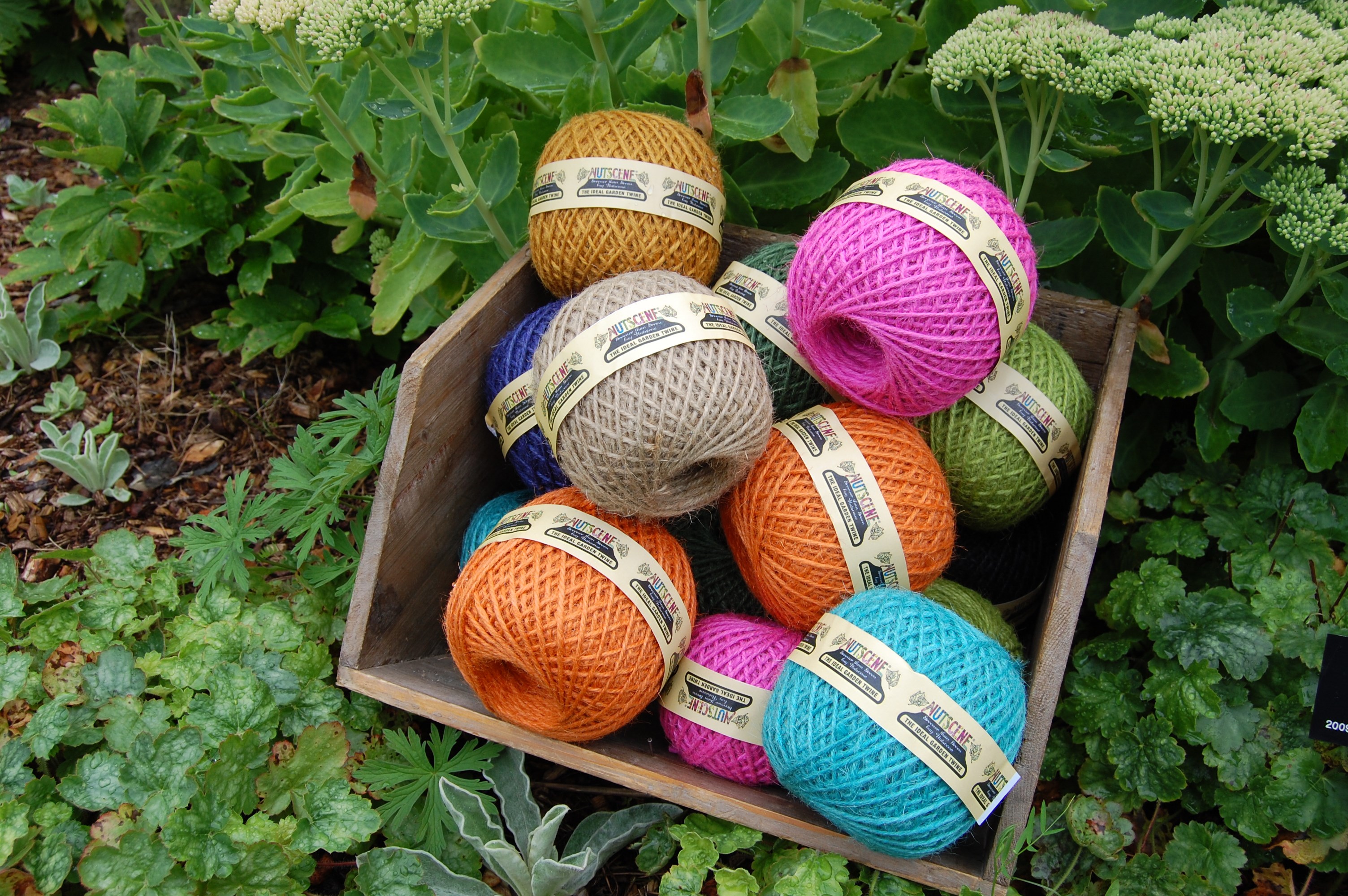 Bosmere Nutscene Twine 164' Asst Colors — priced per each; minimum 36; multiples of 36