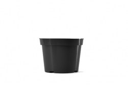 BLD 06.00 AZ BLK 692107 — Case of 300